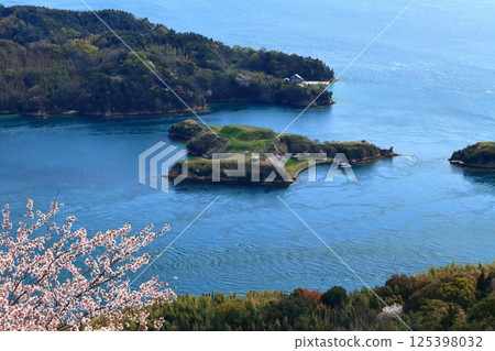 [愛媛郡] 從嘉井山展望公園（野島、牛島）觀賞春天的櫻花 125398032
