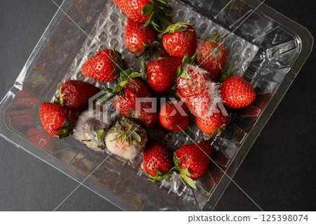 Rotten strawberries with large white fungal mold on a black background in a plastic patch. 125398074
