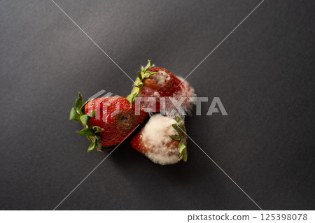 Rotten strawberries with large white fungal mold on black background. 125398078