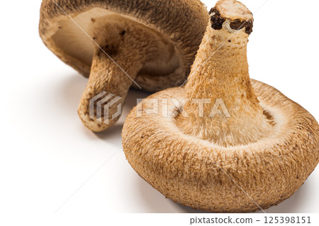 Shiitake 125398151