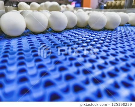 Large white eggs processed on a conveyor belt in an industrial facility during daylight hours 125398239