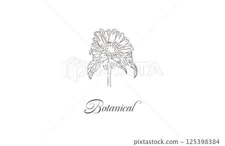 簡約手繪線描花卉插畫素材復古向日葵名片大小店鋪卡片留言 125398384