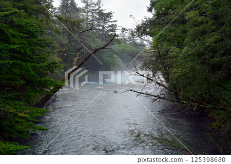 Kamikochi: The misty Azusa River 125398680