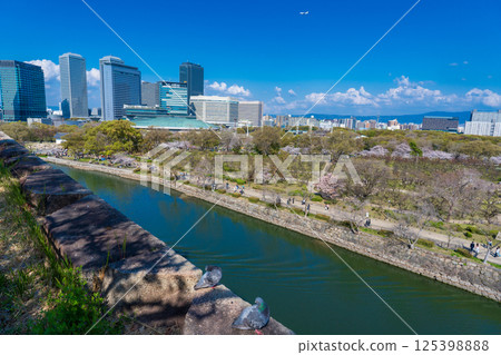 Osaka Castle Park and Osaka Business Park in Osaka City Osaka Castle Park and Osaka Business Park in Osaka City 125398888