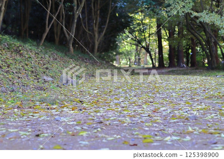 落葉覆蓋的公園小路 125398900