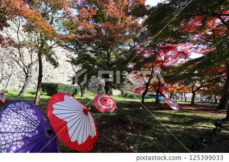 秋葉和日本傘 秋葉和日本傘 125399033