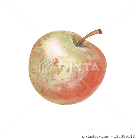A red-green juicy apple with a peduncle is hand-drawn on a white background. The sweet fruit is isolated. Watercolor illustration. Botanical illustration. Clipart. A red-green juicy apple with a peduncle is hand-drawn on a white background. The sweet fruit is isolated. Watercolor illustration. Botanical illustration. Clipart. 125399118