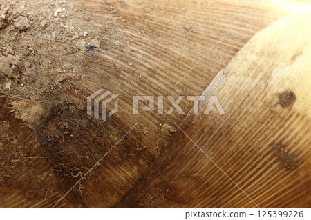 竹筍,大地的饋贈 竹筍,大地的饋贈 125399226
