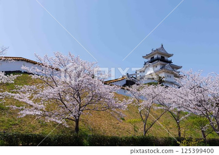 櫻花和掛川城堡 125399400