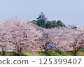 Sakura and Kakegawa Castle 125399407