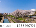 Cherry blossoms at Kawabe 125399754