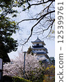 Sakura and Kakegawa Castle 125399761