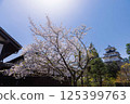Sakura and Kakegawa Castle 125399763