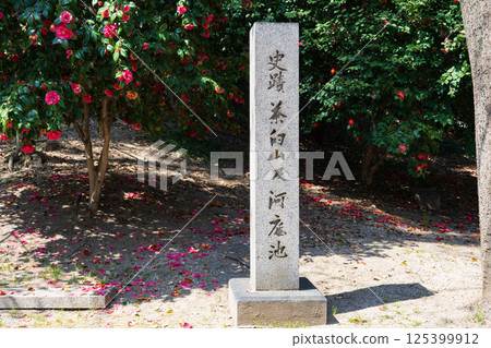 大阪市：天王寺公園川底池歷史遺址茶臼山及石碑 125399912