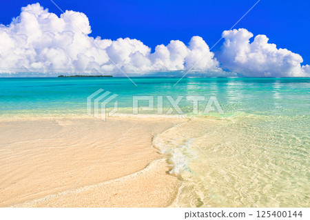 Palau's beautiful coral reef sea Palau's beautiful coral reef sea 125400144