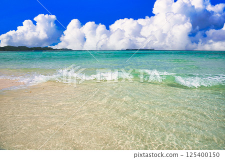 Palau's beautiful coral reef sea 125400150