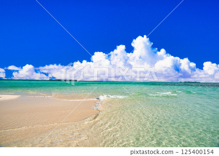 帕勞美麗的珊瑚礁海 125400154