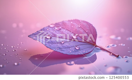 Dew kissed leaf, soft pink serene nature moment Dew kissed leaf, soft pink serene nature moment 125400553