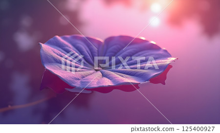 Serene purple leaf against dreamy light background 125400927