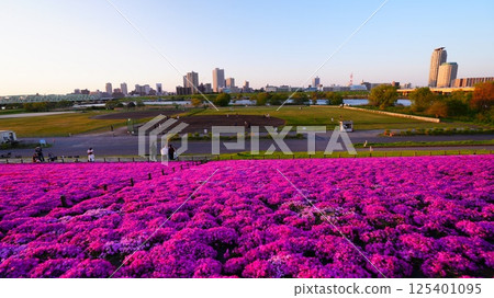 從荒川河床眺望新荒川大橋綠地 125401095