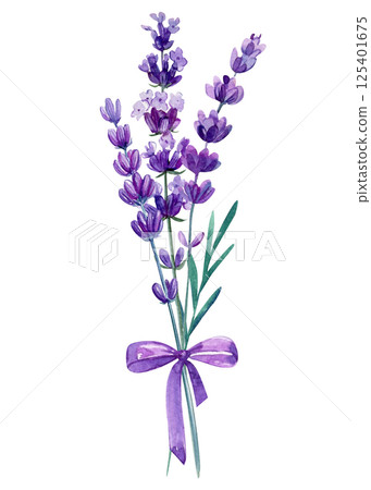 Watercolor lavender bouquet tied with purple ribbon isolated on white background botanical floral art Watercolor lavender bouquet tied with purple ribbon isolated on white background botanical floral art 125401675