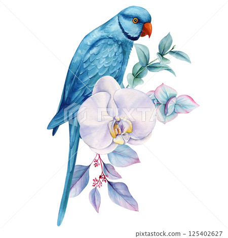 Tropical Bird. Blue parrot with white orchid flower and eucalyptus leaves watercolor exotic bird illustration poster Tropical Bird. Blue parrot with white orchid flower and eucalyptus leaves watercolor exotic bird illustration poster 125402627