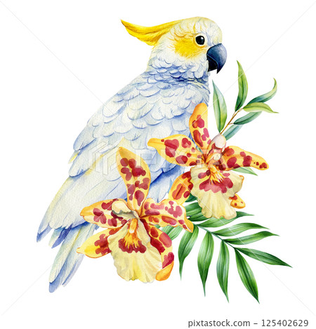 Watercolor white cockatoo parrot with spotted orchid flowers and tropical jungle leaves illustration exotic flora art 125402629
