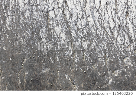 Weathered Natural Stone with White Deposits 125403220