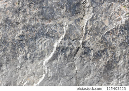 Natural Rock Surface with Subtle Color Variations 125403223