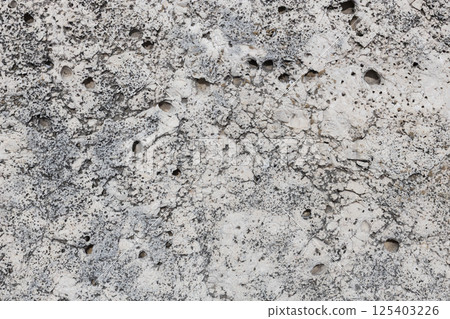 Porous White Limestone Rock with Dark Spots 125403226
