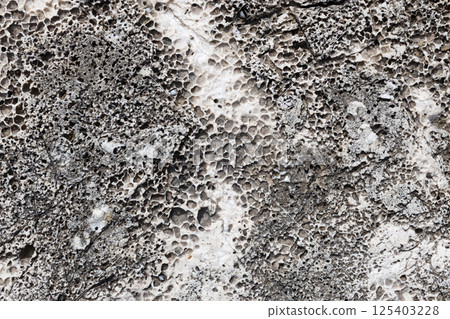 Highly Porous Fossil Limestone Texture Close Up Highly Porous Fossil Limestone Texture Close Up 125403228
