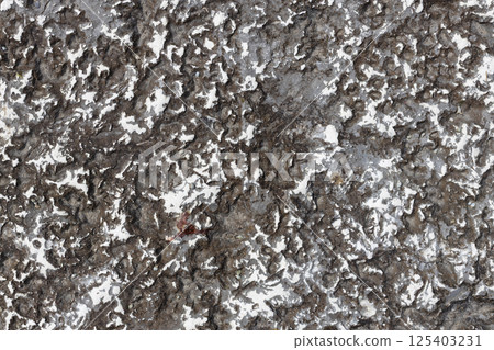 Dark Rock Surface with White Mineral Patches Dark Rock Surface with White Mineral Patches 125403231