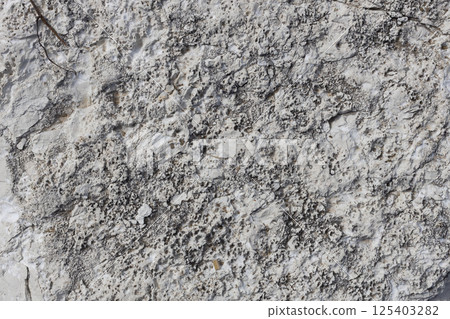 Porous Fossil Limestone Rock Surface Porous Fossil Limestone Rock Surface 125403282