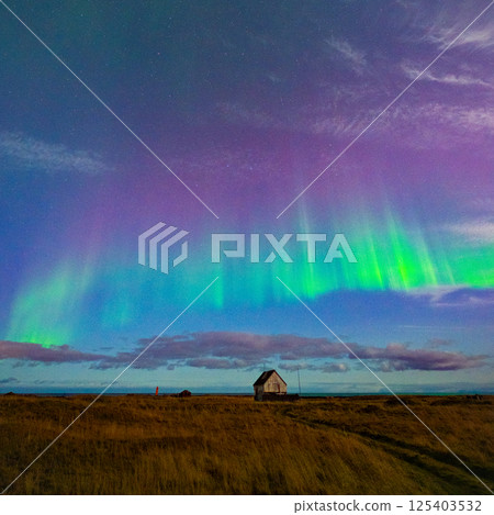 冰島土地上壯麗的極光和房屋 125403532