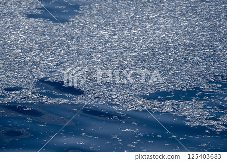 Thousand velella velalla by-the-wind-sailors are not true jellyfish, but hydroids 125403683