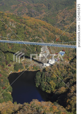 Ryujin Suspension Bridge over Ryujin Gorge surrounded by yellow mountains under a clear autumn sky, seen from Akaiwa Observatory in northern Ibaraki Prefecture Ryujin Suspension Bridge over Ryujin Gorge surrounded by yellow mountains under a clear autumn sky, seen from Akaiwa Observatory in northern Ibaraki Prefecture 125403875