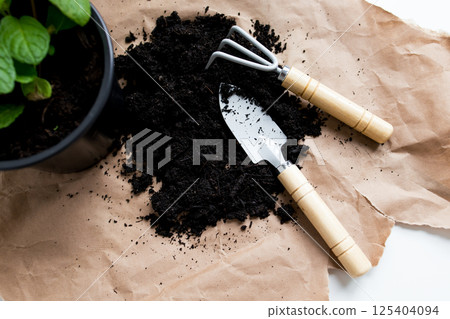 Gardening tools and soil with potted plant on brown paper background 125404094