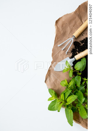 Gardening tools and fresh mint on brown paper with soil 125404097