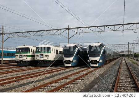 185 series, E261 series train 185 series, E261 series train 125404203