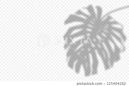 Shadow overlay from a Monstera leaf isolated on a transparent background. 125404282