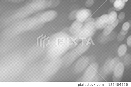 Abstract shadow overlay from tree branch on a transparent background. Abstract shadow overlay from tree branch on a transparent background. 125404336