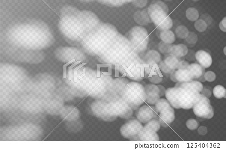 Abstract shadow overlay from foliage on a transparent background. 125404362