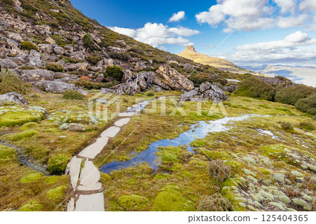 Views around Mt Ossa in Tasmania Australia Views around Mt Ossa in Tasmania Australia 125404365