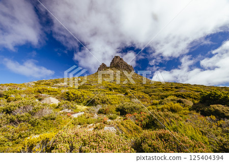 Views around Mt Ossa in Tasmania Australia Views around Mt Ossa in Tasmania Australia 125404394