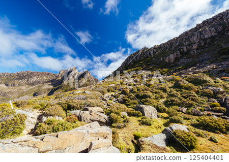 Views around Mt Ossa in Tasmania Australia Views around Mt Ossa in Tasmania Australia 125404401