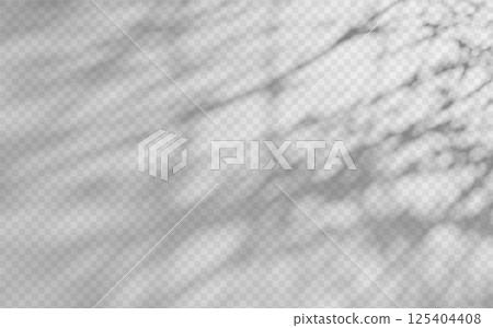 Abstract shadow overlay from foliage on a transparent background. Abstract shadow overlay from foliage on a transparent background. 125404408