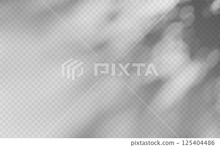 Abstract shadow overlay from foliage on a transparent background. 125404486