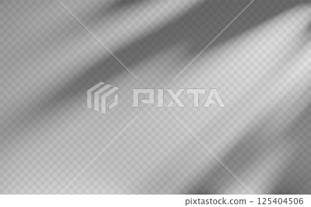 Abstract shadow overlay from foliage on a transparent background. 125404506