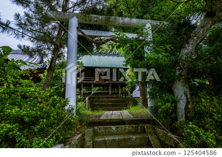 An impressive shrine landscape with moss-covered stone steps and a torii gate An impressive shrine landscape with moss-covered stone steps and a torii gate 125404586