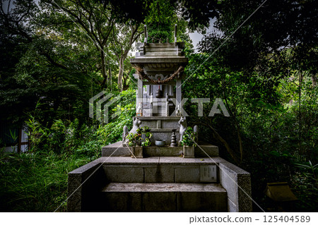 Moriyama Shrine's small shrine surrounded by sunlight filtering through the trees Moriyama Shrine's small shrine surrounded by sunlight filtering through the trees 125404589